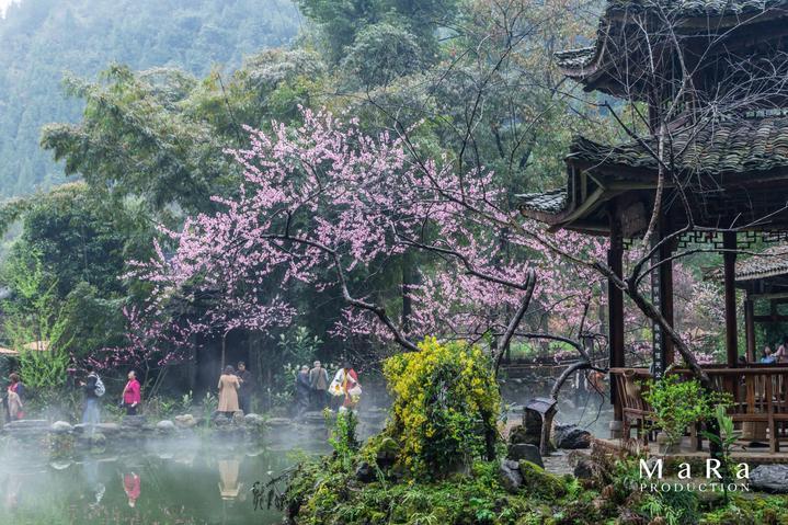 专业问答类网站最近好听的歌是什么? 适合一个人静静的听的~,全面解决你的问题